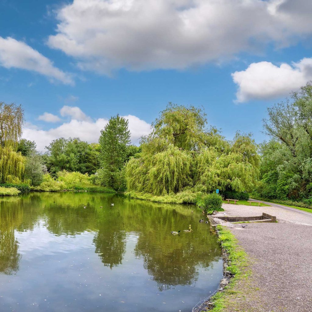 Lakeside walk Witham Essex